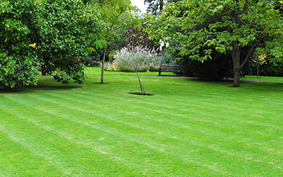 Lawn care services in Louisville, KY.